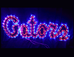 University Of Florida Gators logo lights