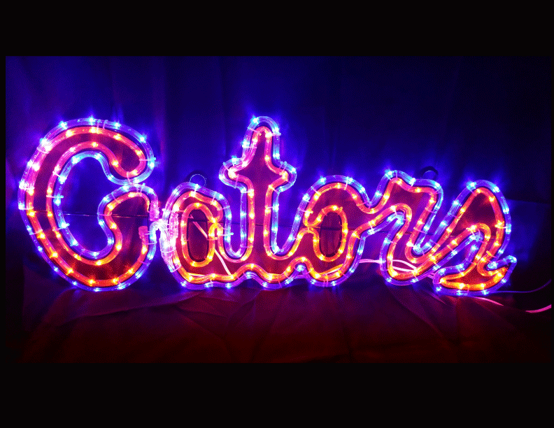 University Of Florida Gators logo lights
